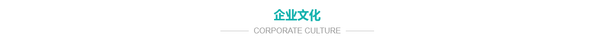 公司簡介