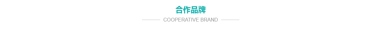 公司簡介
