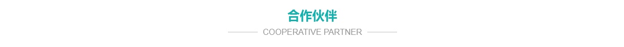 公司簡介